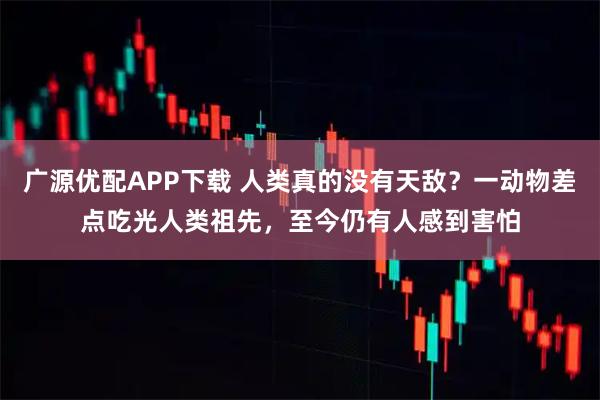 广源优配APP下载 人类真的没有天敌?一动物差点吃光人类祖先,至今仍有人感到害怕