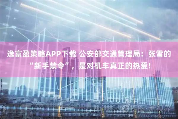 逸富盈策略APP下载 公安部交通管理局：张雪的“新手禁令”，是对机车真正的热爱!
